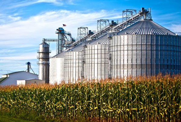 Começa mais uma etapa de fiscalização dos estoques públicos