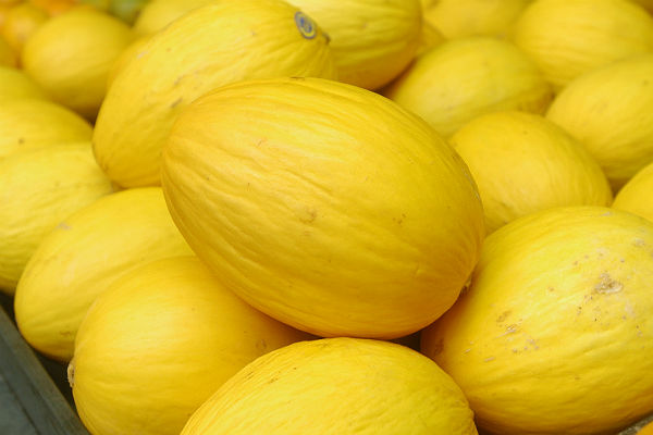 Com acúmulo de frutas, preços do melão caem na Ceagesp