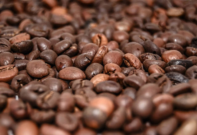 Preços do café robusta estão em alta no mercado brasileiro