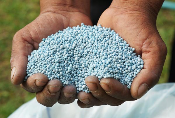 Entrega de fertilizantes caem 9% em fevereiro