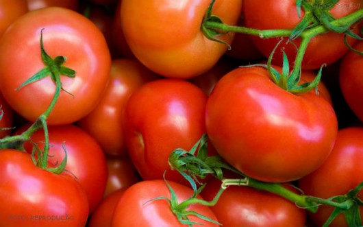 Valores do tomate têm recuo em SP com aumento da oferta