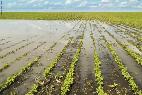 Excesso de chuva provoca prejuízo de cerca de R$ 117 milhões, estima Famurs