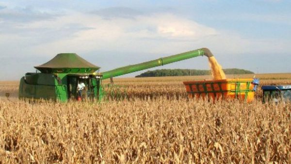 Recorde nacional de produção de soja vem de Guarapuava PR