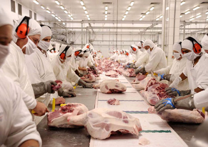 Exportação de carne suína cresce 45% no Paraná