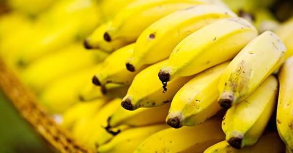 EM SC banana nanica tem valorização de 40%