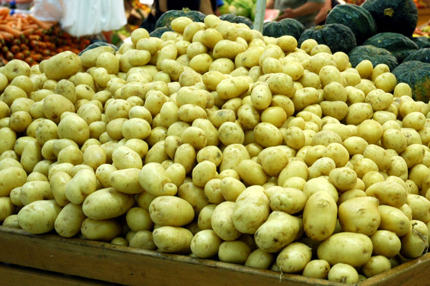 Preços da batata aumentam no atacado paulistano