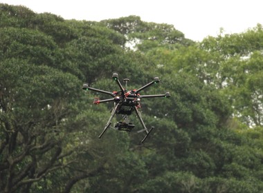 Drones ajudam cientistas a monitorar macacos ameaçados de extinção