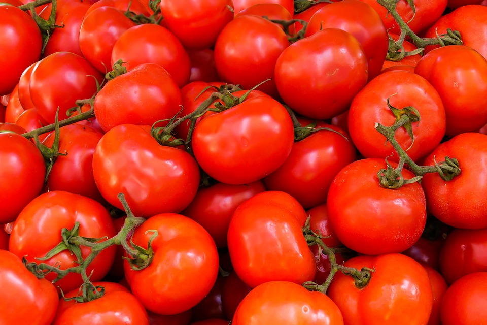 Com oferta elevada, preços do tomate despencam no atacado