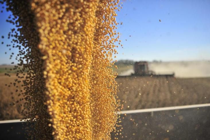 Indenizações pagas por seguradoras para setor agrícola aumentam em 2016