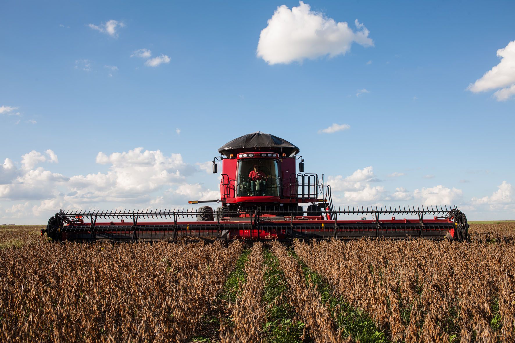 A crise revela oportunidades para o agronegócio