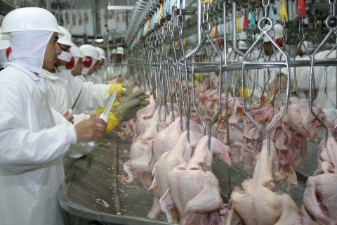 Média mensal da carne de frango em SP é a menor em 11 anos