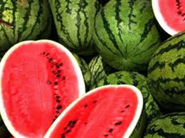 Frio pressiona valores da melancia nas roças e na CEAGESP