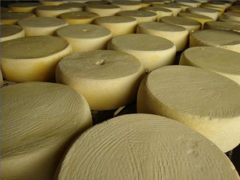 Fiscalização da Adapec apreende 700 kg de queijo impróprio para consumo
