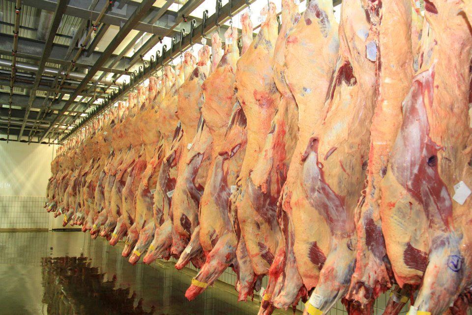 Alta nos preços da carne bovina no atacado