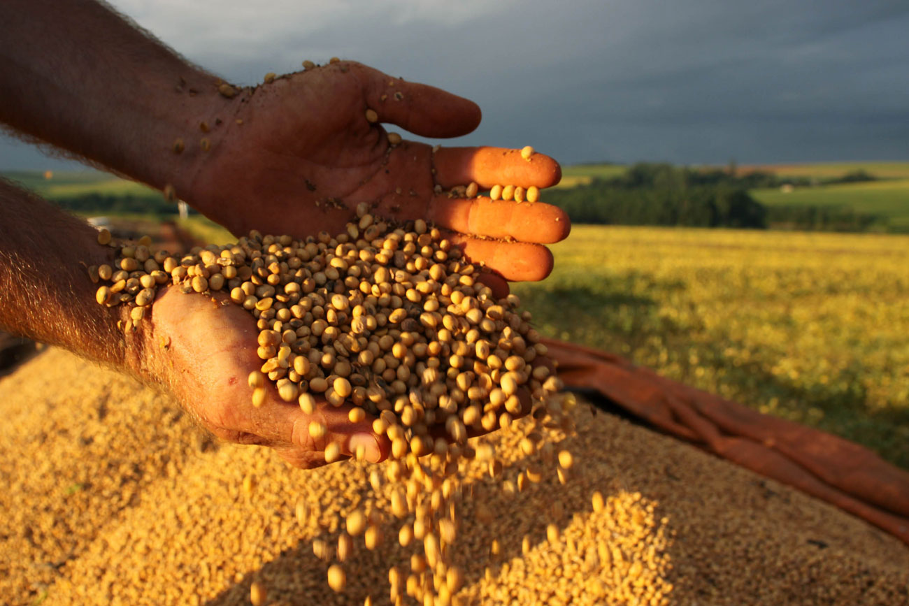 Brasil deve colher 217 milhões de toneladas em 2017