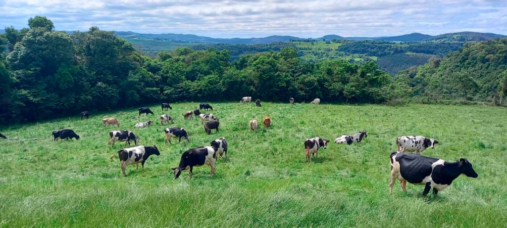 Cooperação entre entidades do agro e as forças policiais intensificam ações de segurança no campo 