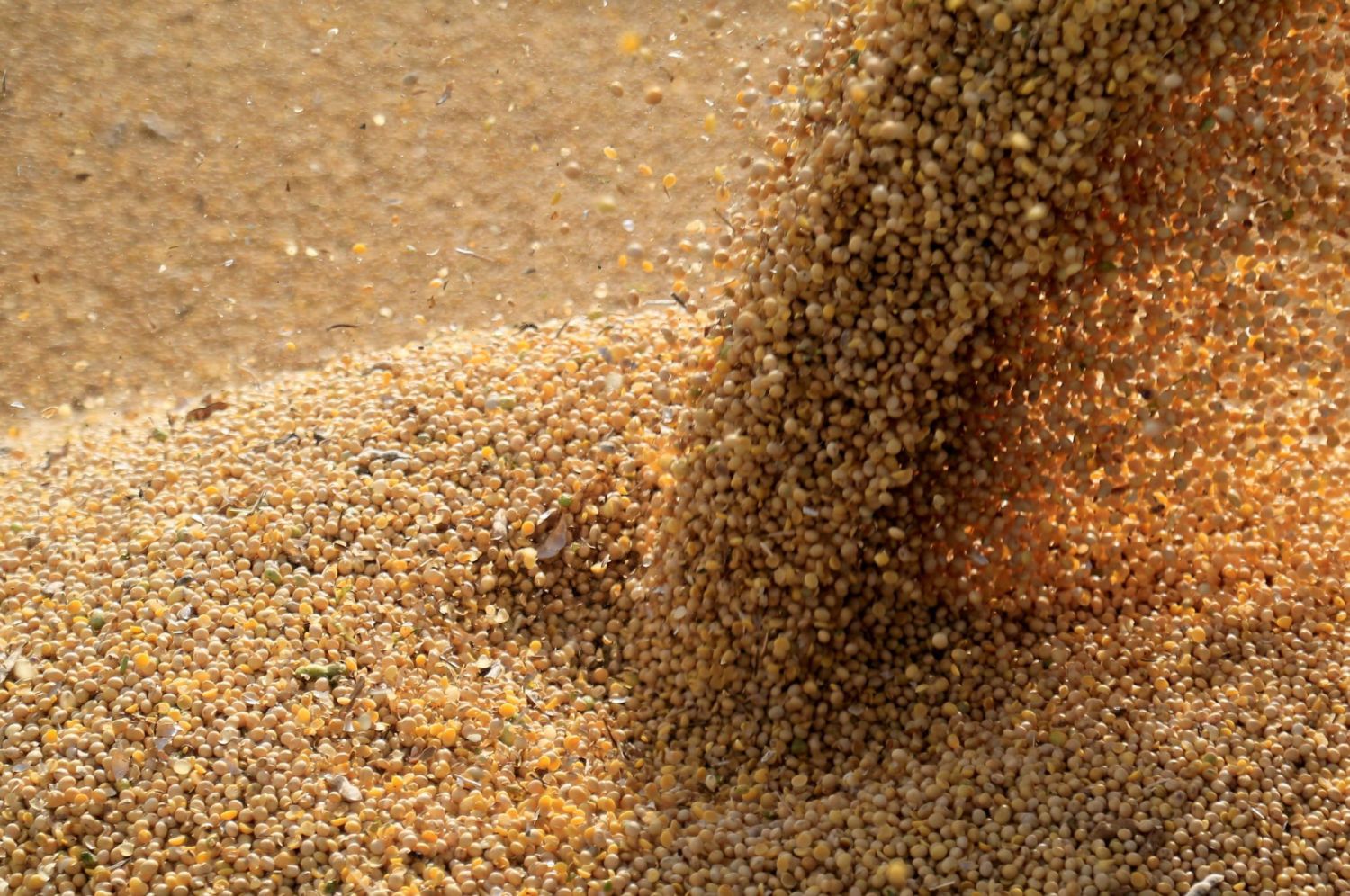 Bunge compra 33% da revendedora de insumos agrícolas Sinagro