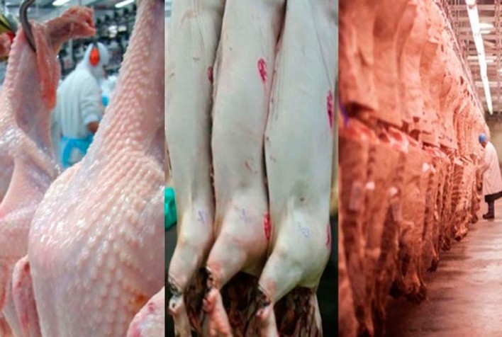 Desempenho exportador das carnes nas três primeiras semanas de fevereiro