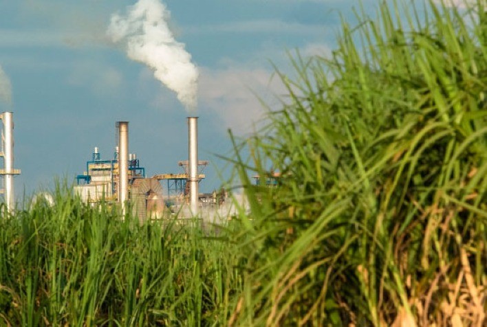 O Nordeste e a consolidação do biogás e biometano no Brasil