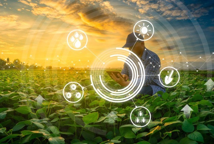 A nova era da digitalização do setor agro