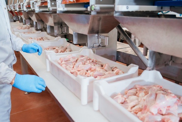 Mesmo com pandemia, disponibilidade per capita de carne de frango aumentou 7% nos últimos dois anos