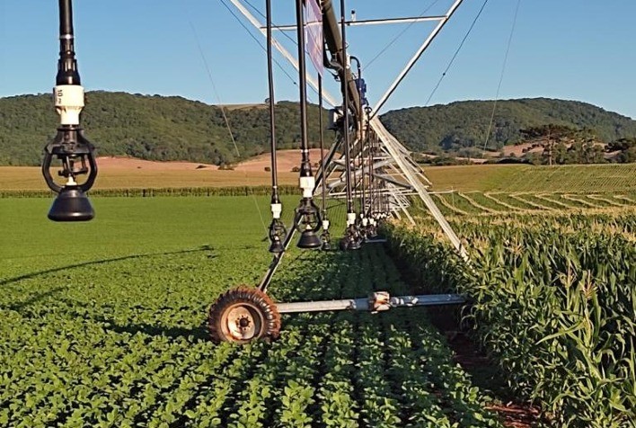 Produtor gaúcho contorna impactos da seca com irrigação e tem alta produtividade