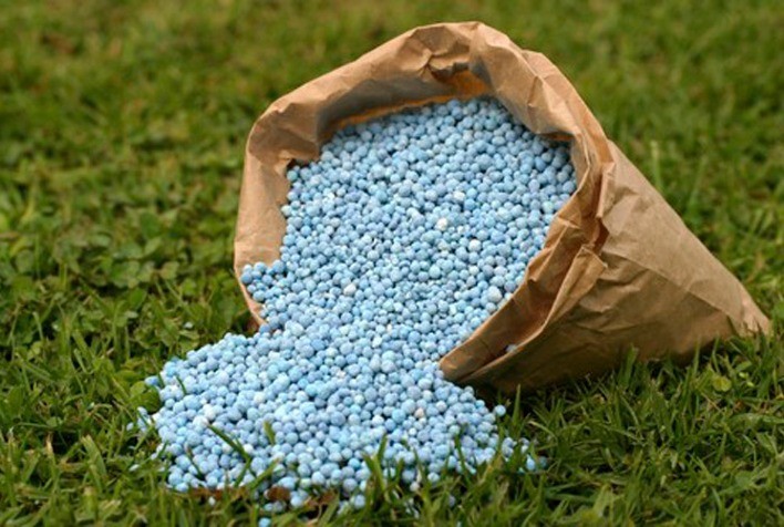 Brasil pode reduzir dependência de fertilizantes em 50%, diz pesquisadora da FGV