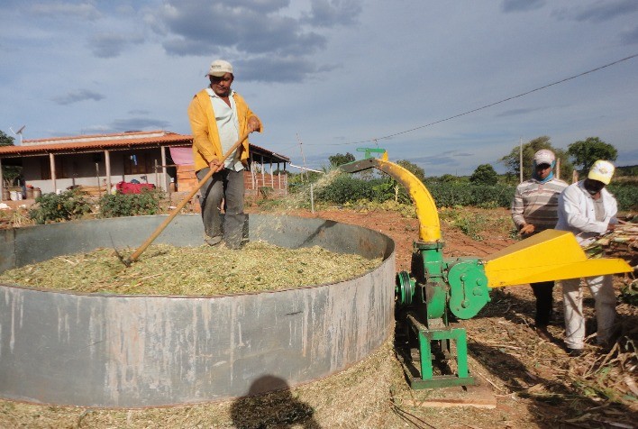 Silo cincho: opção de baixo custo para conservação de forragem na agricultura familiar