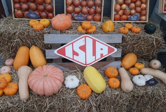 Lançamentos e técnicas de cultivo marcam a participação da ISLA Sementes na Expoagro -- Afubra no RS