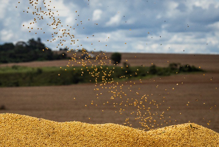 DATAGRO: soja brasileira da safra 2021/22 está 55,0% comercializada