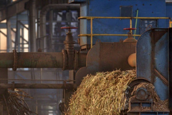 Czarnikow eleva em 11 mi de t moagem de cana no Centro-Sul em 22/23