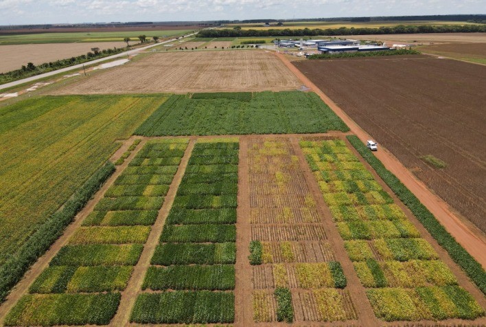 Lançado primeiro Ensaio de Cultivares em Rede de Soja para o Mato Grosso