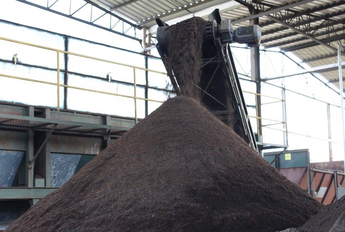 Fertilizante fabricado com lodo de esgoto pode revolucionar o cultivo de banana