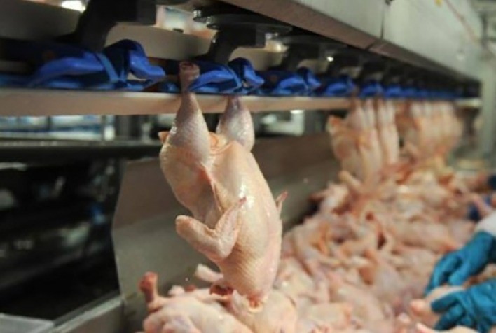 Carne de frango, no Brasil, se encontra entre as mais baratas do mundo