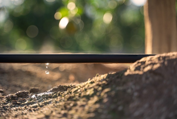 Investimentos em sistemas de irrigação podem evitar falta de alimento na mesa da população