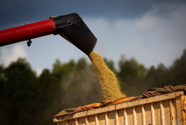 Brasil tem queda na produção de soja; em Mato Grosso, safra sobe