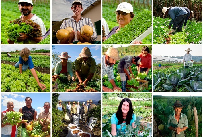 O combate à insegurança alimentar, o apoio à agricultura familiar e a promoção da inclusão produtiva rural no Brasil