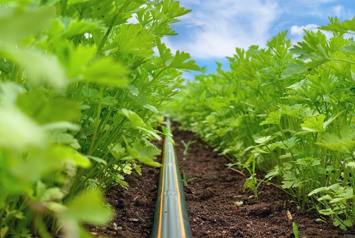 Da gota ao resultado: Netafim expõe mais completo portfólio de irrigação na Hortitec 2022