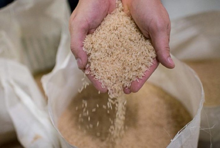 Arroz: Negócios para exportação elevam liquidez no RS