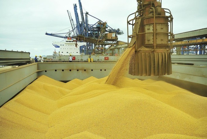 Exportações de milho pelo porto de Paranaguá disparam com fornecimento ucraniano bloqueado