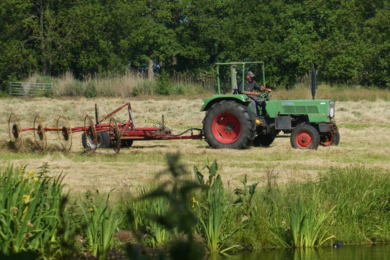 7 curiosidades sobre a importância da agropecuária para o brasileiro