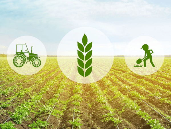 Artigo: A tecnologia e o país rural