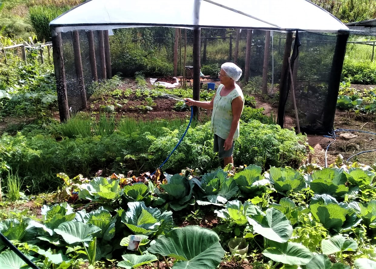 Agricultores familiares registram aumento das vendas com a comercialização online