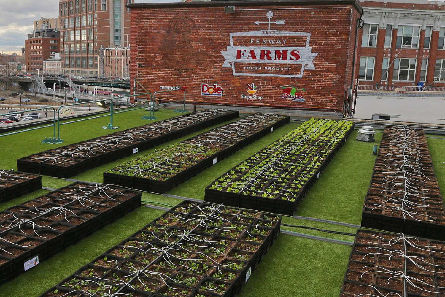 Agricultura urbana como atração turística não para de ganhar espaços nas grandes cidades