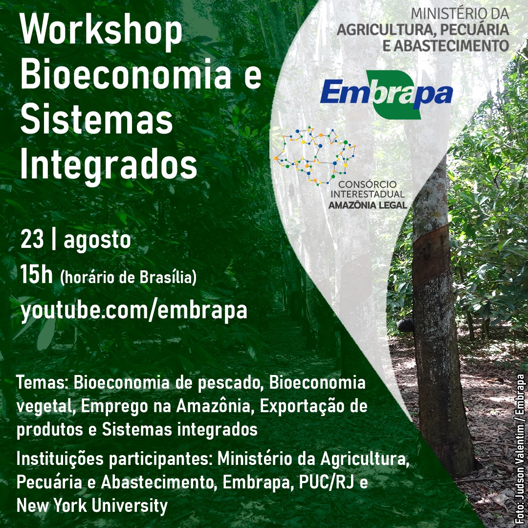 Amazônia: bioeconomia e sistemas integrados estarão em discussão durante workshop
