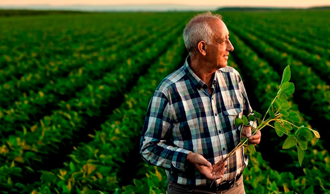 Captura de Carbono: Nova oportunidade de negócio para os agricultores