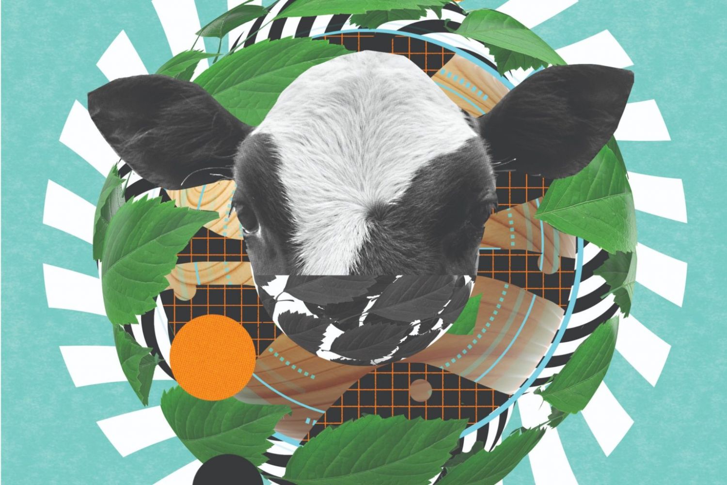 Com olho no futuro, agronegócio se pauta cada vez mais pelas práticas ESG