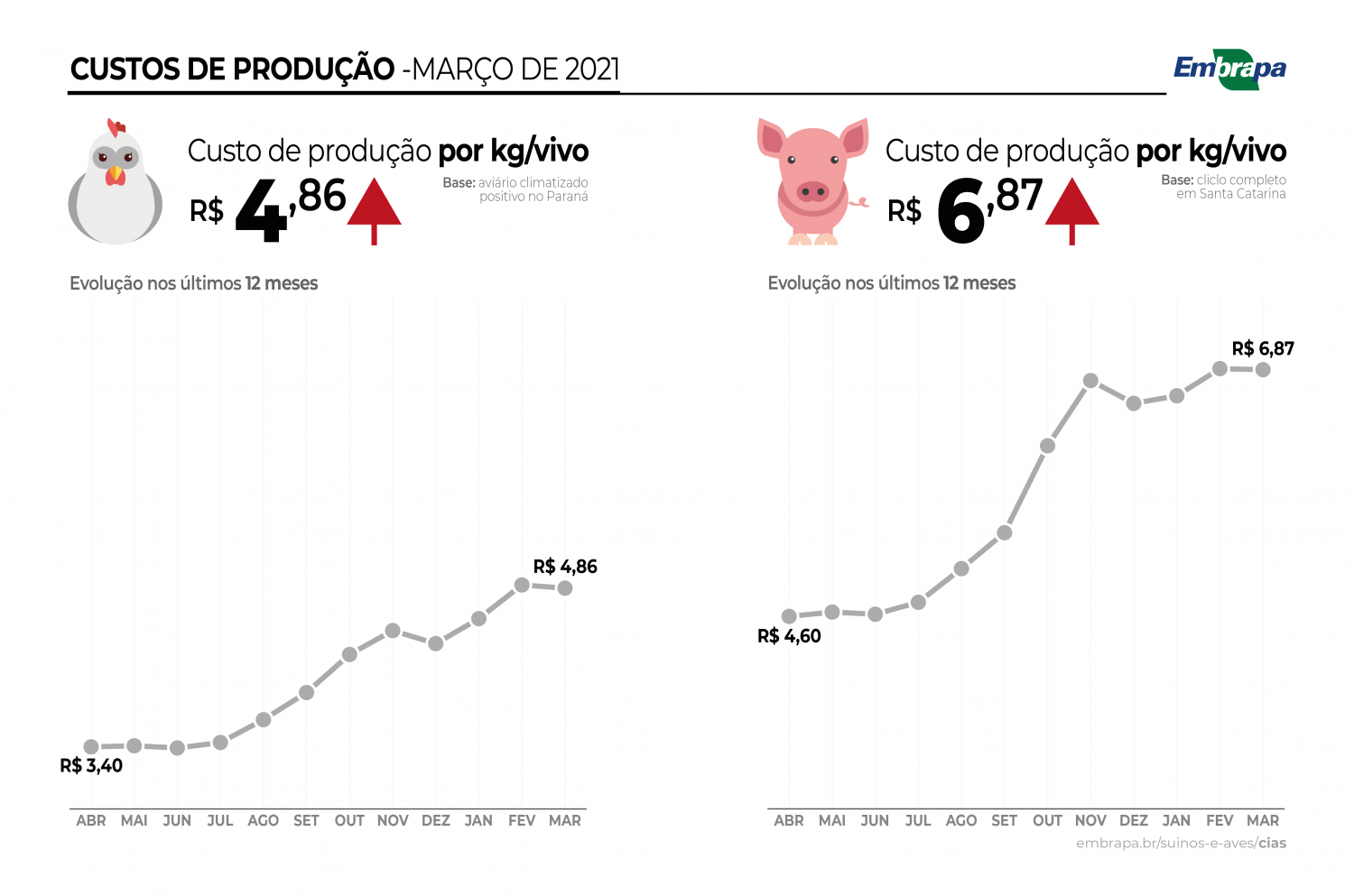 Custos de produção de suínos e de frangos de corte caem pela primeira vez em 2021
