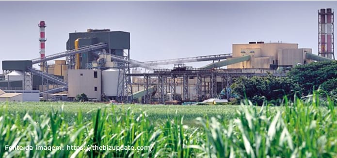 Energia também é do Agronegócio