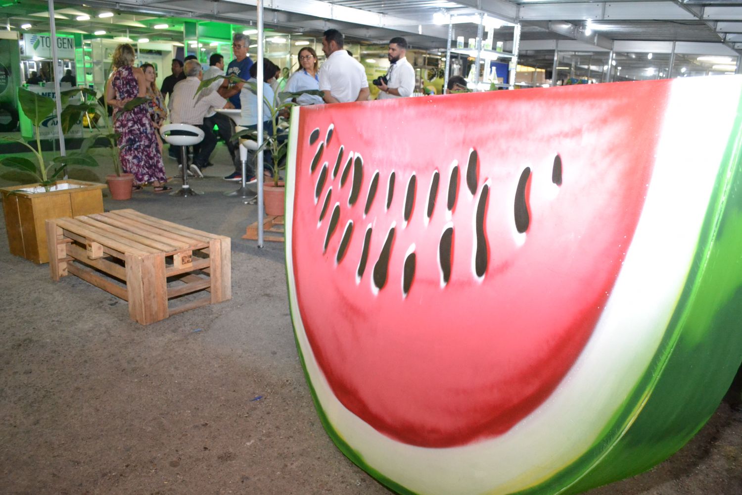 Feira da Fruticultura Tropical Irrigada acontece em novembro, em Mossoró (RN)